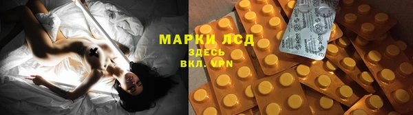 мдпв Дмитриев