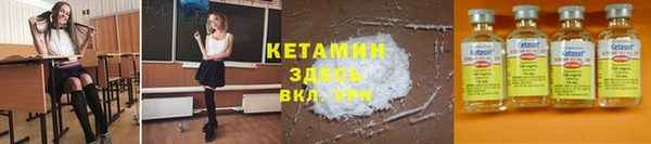 мдпв Дмитриев