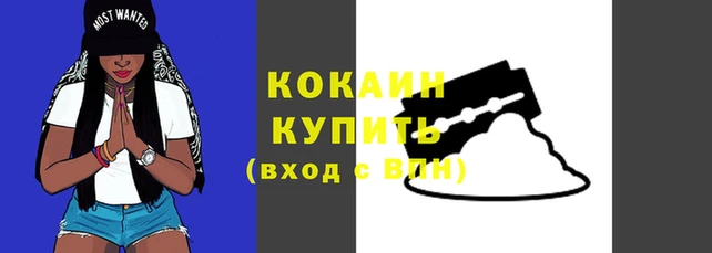 стафф Дмитровск