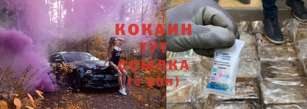 мдпв Дмитриев